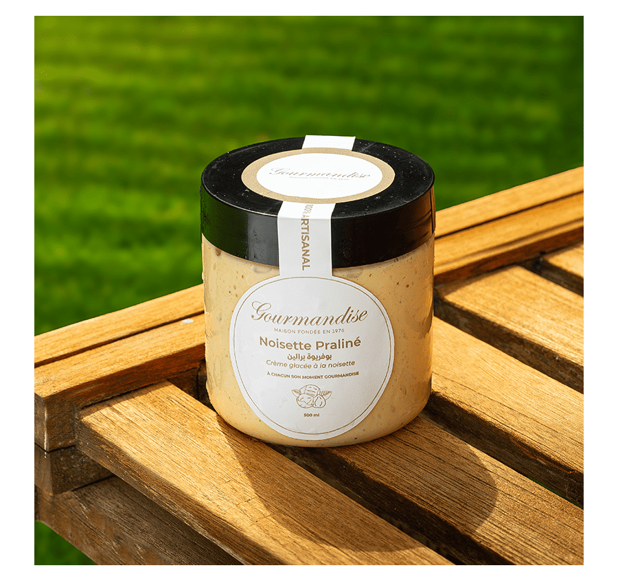 Pot de Glace Praliné Noisette 500ML