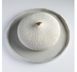 Sa Majesté Le Mlabess