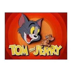TOM  and JERRY 2